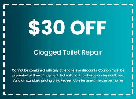 Discount on Clogged Toilet Repair
